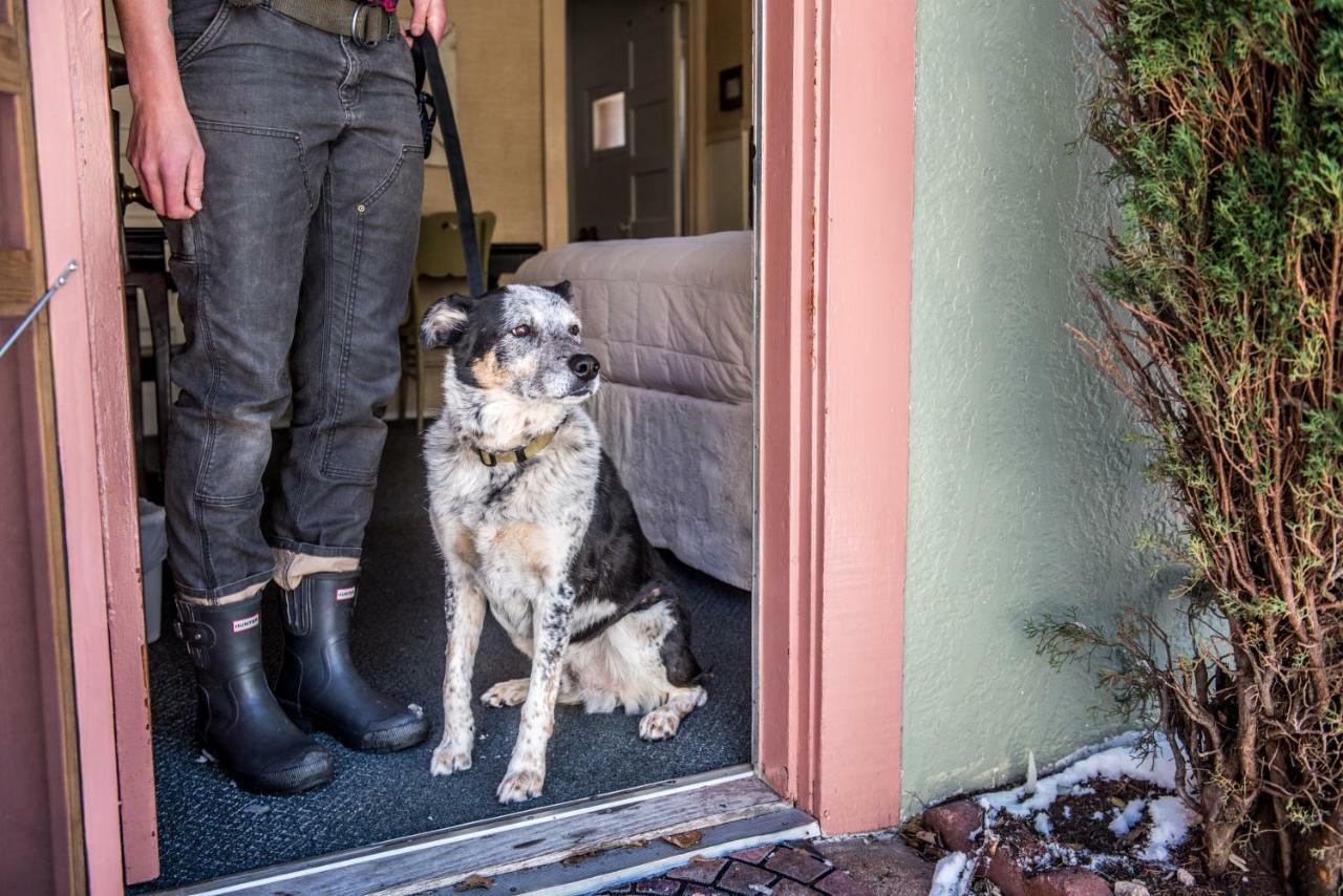 Jonquil Motel Bisbee Kültér fotó